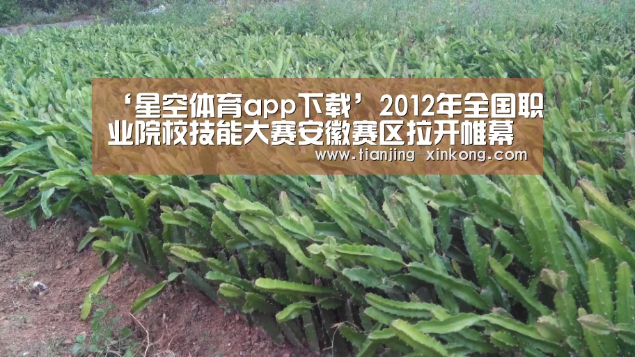 ‘星空体育app下载’2012年全国职业院校技能大赛安徽赛区拉开帷幕(图3) 星空体